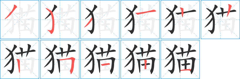 猫