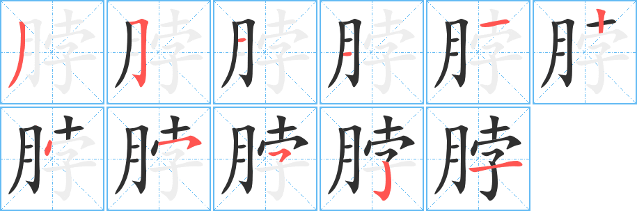 脖