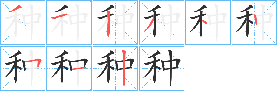 种