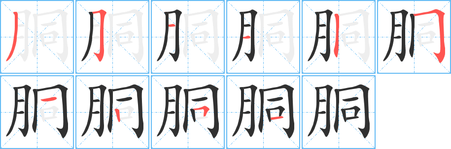 胴