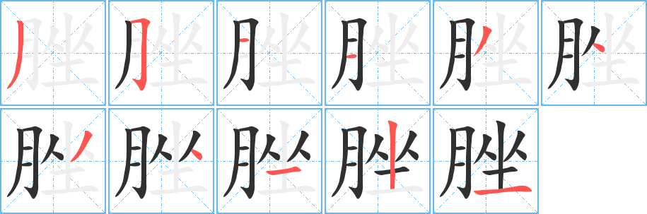 脞