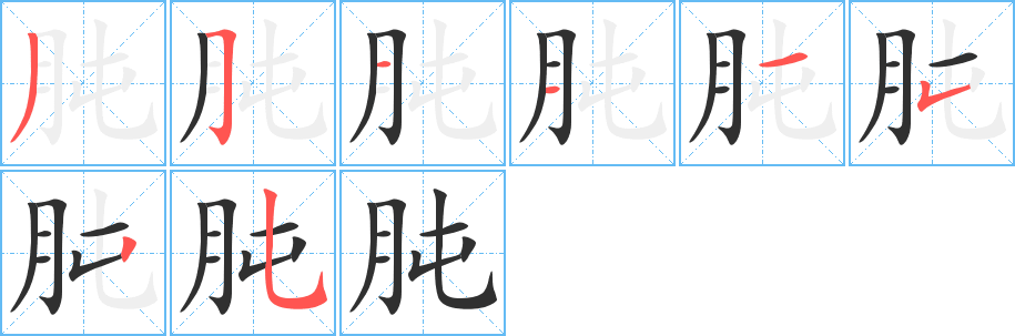 肫