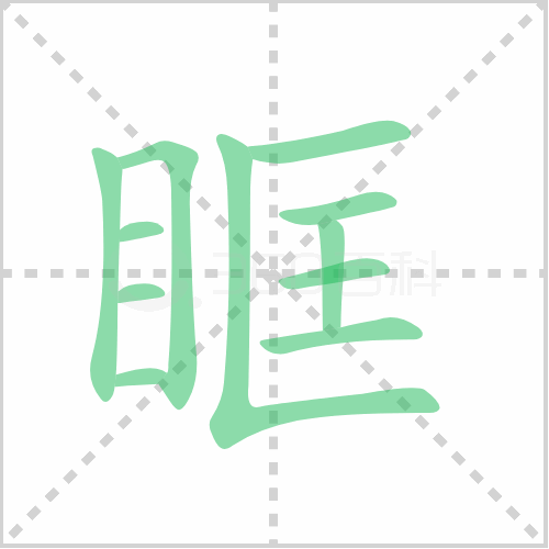 眶