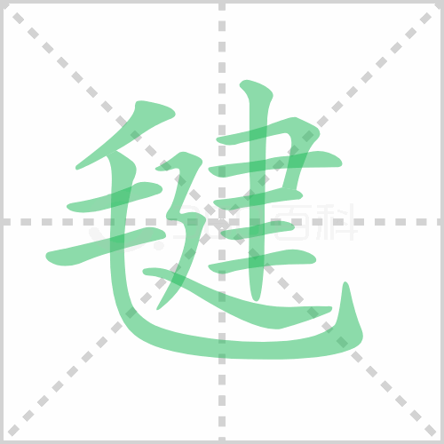 毽