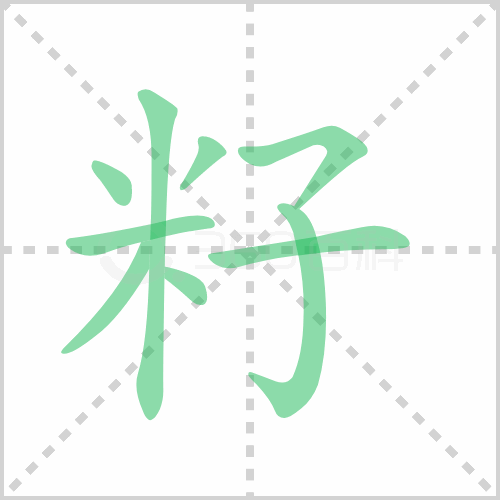 籽