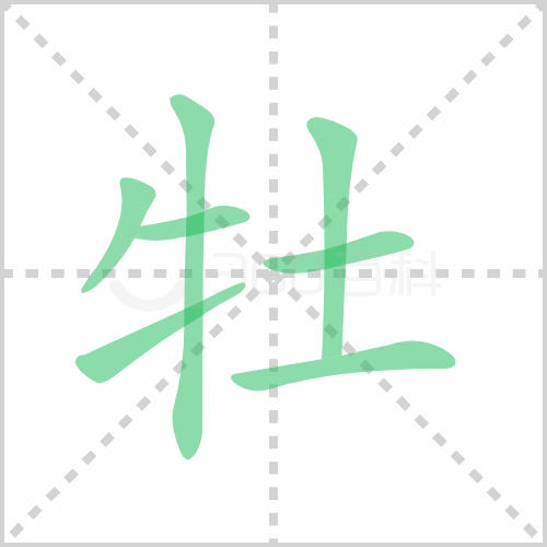 牡