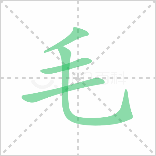 毛