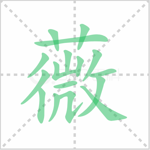薇