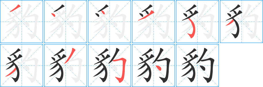 豹