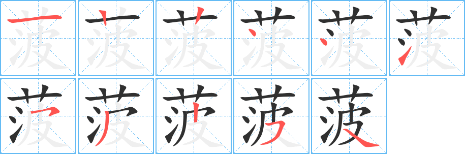 菠