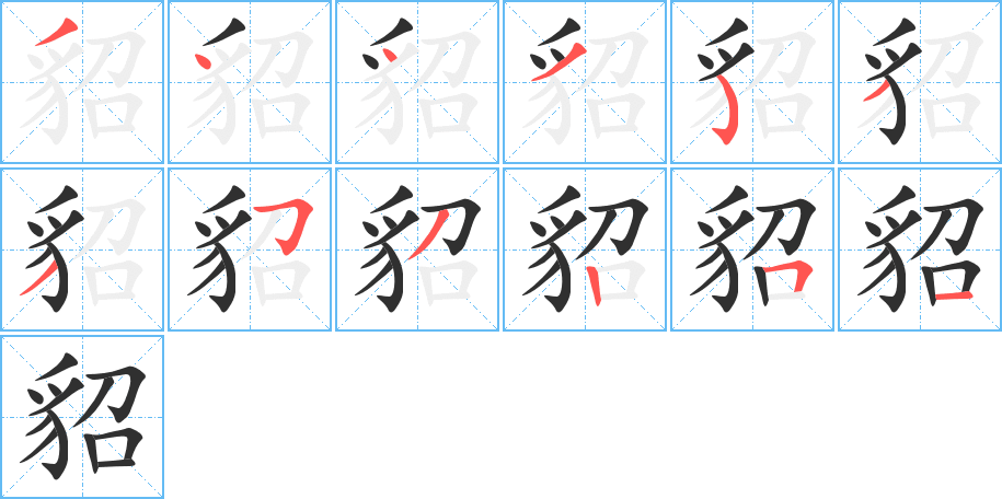 貂