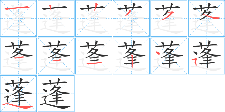 蓬