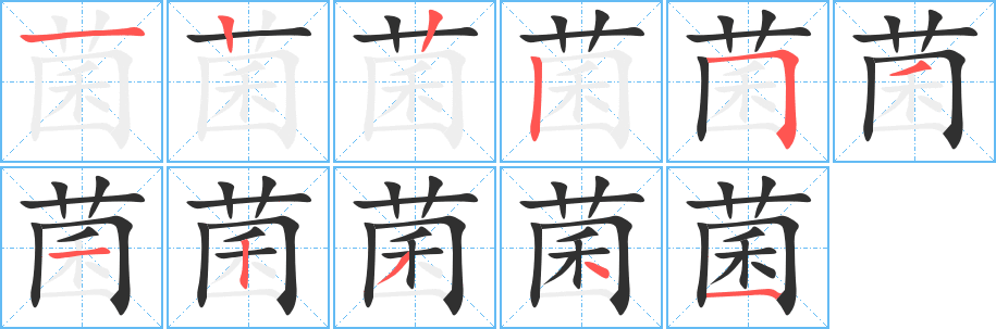 菌