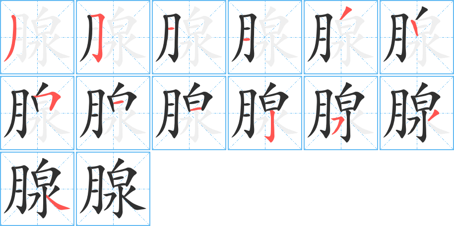 腺
