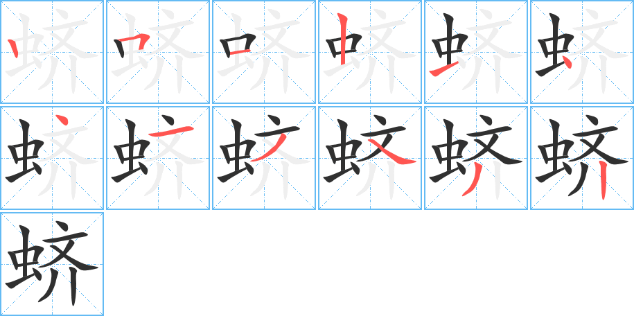 蛴