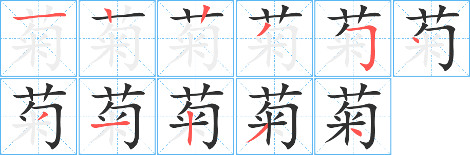 菊