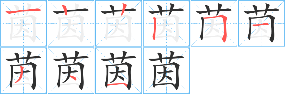 茵