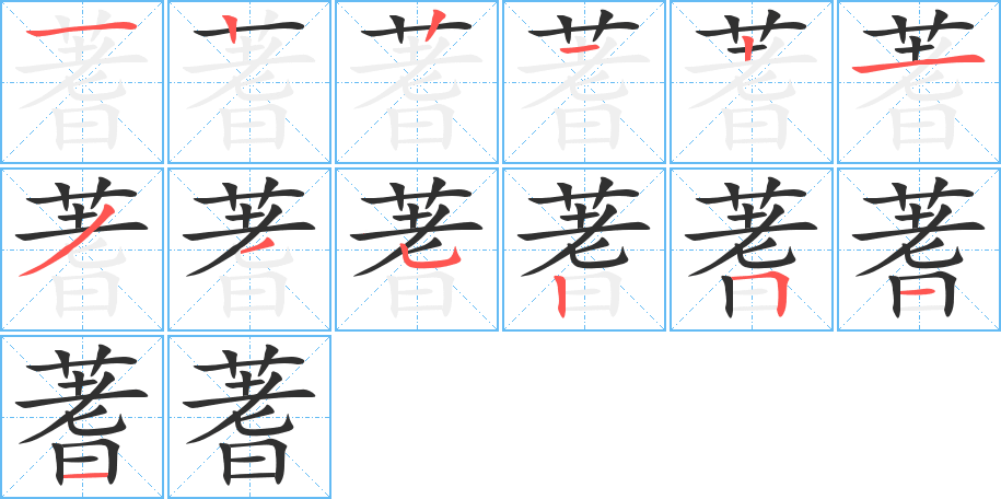 蓍