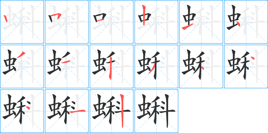 蝌